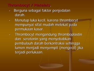 ThrombocytThrombocyt // PleteletsPletelets,,
-- BergunaBerguna sebagaisebagai faktorfaktor penjedalanpenjedalan
darahdarah..
-- MenutupMenutup lukaluka kecilkecil,, karenakarena thrombocytthrombocyt
mempunyaimempunyai sifatsifat mudahmudah melekatmelekat padapada
permukaanpermukaan kasarkasar..
-- ThrombocytThrombocyt mengandungmengandung thromboplastinthromboplastin
dandan serotonin yangserotonin yang menyebabkanmenyebabkan
pembulauhpembulauh darahdarah berkontraksiberkontraksi sehinggasehingga
lumenlumen menjadimenjadi menyempitmenyempit ((mengecilmengecil)) jikajika
terjaditerjadi perlukaanperlukaan..
 