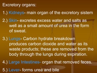 Excretory organs:
1.) Kidneys- main organ of the excretory sistem
2.) Skin- excretes excess water and salts as
well as a small amount of urea in the form
of sweat.
3.) Lungs- Carbon hydrate breakdown
produces carbon dioxide and water as its
waste products; these are removed from the
body through the lungs during expiration.
4.) Large Intestines- organ that removed feces.
5.) Lever- forms urea and bile
 