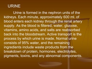 URINE
Urine is formed in the nephron units of the
kidneys. Each minute, approximately 600 ml. of
blood enters each kidney through the renal artery
supply. As the blood is filtered, water, glucose,
vitamins, amino acids, and salts are reabsorbed
back into the bloodstream. Active transport is the
process by which urine is made. Normal urine
consists of 95% water, and the remaining
ingredients include waste products from the
breakdown of protein, hormones, electrolytes,
pigments, toxins, and any abnormal components.
 
