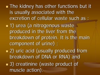The kidney has other functions but itThe kidney has other functions but it
is usually associated with theis usually associated with the
excretion of cellular waste such as :excretion of cellular waste such as :
1) urea (a nitrogenous waste1) urea (a nitrogenous waste
produced in the liver from theproduced in the liver from the
breakdown of protein. It is the mainbreakdown of protein. It is the main
component of urine) ;component of urine) ;
2) uric acid (usually produced from2) uric acid (usually produced from
breakdown of DNA or RNA) andbreakdown of DNA or RNA) and
3)3) creatininecreatinine (waste product of(waste product of
muscle action).muscle action).
 