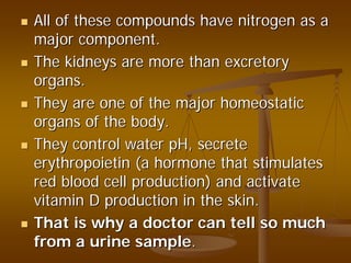All of these compounds have nitrogen as aAll of these compounds have nitrogen as a
major component.major component.
The kidneys are more than excretoryThe kidneys are more than excretory
organs.organs.
They are one of the major homeostaticThey are one of the major homeostatic
organs of the body.organs of the body.
They control water pH, secreteThey control water pH, secrete
erythropoietin (a hormone that stimulateserythropoietin (a hormone that stimulates
red blood cell production) and activatered blood cell production) and activate
vitamin D production in the skin.vitamin D production in the skin.
That is why a doctor can tell so muchThat is why a doctor can tell so much
from a urine samplefrom a urine sample..
 