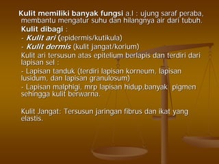 KulitKulit memilikimemiliki banyakbanyak fungsifungsi a.la.l :: ujungujung sarafsaraf perabaperaba,,
membantumembantu mengaturmengatur suhusuhu dandan hilangnyahilangnya airair daridari tubuhtubuh..
KulitKulit dibagidibagi ::
-- KulitKulit ariari ((epidermis/epidermis/kutikulakutikula))
-- KulitKulit dermisdermis ((kulitkulit jangat/koriumjangat/korium))
KulitKulit ariari tersusuntersusun atasatas epiteliumepitelium berlapisberlapis dandan terdiriterdiri daridari
lapisanlapisan selsel ::
-- LapisanLapisan tanduktanduk ((terdiriterdiri lapisanlapisan korneumkorneum,, lapisanlapisan
lusidumlusidum,, dandan lapisanlapisan granulosumgranulosum))
-- LapisanLapisan malphigimalphigi,, mrpmrp lapisanlapisan hidup,banyakhidup,banyak pigmenpigmen
sehinggasehingga kulitkulit berwarnaberwarna..
KulitKulit JangatJangat:: TersusunTersusun jaringanjaringan fibrusfibrus dandan ikatikat yangyang
elastiselastis..
 