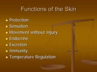 Functions of the SkinFunctions of the Skin
ProtectionProtection
SensationSensation
Movement without InjuryMovement without Injury
EndocrineEndocrine
ExcretionExcretion
ImmunityImmunity
Temperature RegulationTemperature Regulation
 