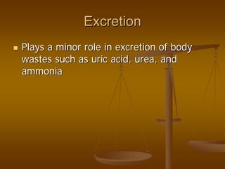 ExcretionExcretion
Plays a minor role in excretion of bodyPlays a minor role in excretion of body
wastes such as uric acid, urea, andwastes such as uric acid, urea, and
ammoniaammonia
 