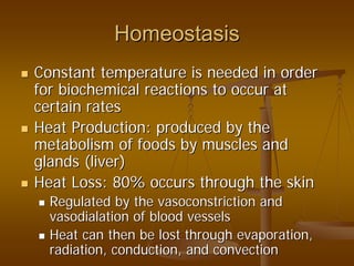 HomeostasisHomeostasis
Constant temperature is needed in orderConstant temperature is needed in order
for biochemical reactions to occur atfor biochemical reactions to occur at
certain ratescertain rates
Heat Production: produced by theHeat Production: produced by the
metabolism of foods by muscles andmetabolism of foods by muscles and
glands (liver)glands (liver)
Heat Loss: 80% occurs through the skinHeat Loss: 80% occurs through the skin
Regulated by the vasoconstriction andRegulated by the vasoconstriction and
vasodialationvasodialation of blood vesselsof blood vessels
Heat can then be lost through evaporation,Heat can then be lost through evaporation,
radiation, conduction, and convectionradiation, conduction, and convection
 