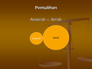 PemulihanPemulihan
AnaerobAnaerob << AerobAerob
anaerob aerob
 