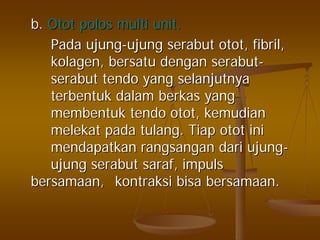 b.b. OtotOtot polospolos multi unit.multi unit.
PadaPada ujungujung--ujungujung serabutserabut otototot, fibril,, fibril,
kolagenkolagen,, bersatubersatu dengandengan serabutserabut--
serabutserabut tendotendo yangyang selanjutnyaselanjutnya
terbentukterbentuk dalamdalam berkasberkas yangyang
membentukmembentuk tendotendo otototot,, kemudiankemudian
melekatmelekat padapada tulangtulang.. TiapTiap otototot iniini
mendapatkanmendapatkan rangsanganrangsangan daridari ujungujung--
ujungujung serabutserabut sarafsaraf,, impulsimpuls
bersamaanbersamaan,, kontraksikontraksi bisabisa bersamaanbersamaan..
 