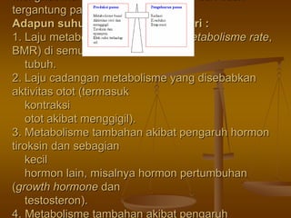 menghasilkanmenghasilkan panaspanas secarasecara mandirimandiri dandan tidaktidak
tergantungtergantung padapada suhusuhu lingkunganlingkungan..
AdapunAdapun suhusuhu tubuhtubuh dihasilkandihasilkan daridari ::
1.1. LajuLaju metabolismemetabolisme basal (basal (basalbasal metabolismemetabolisme raterate,,
BMR)BMR) didi semuasemua selsel
tubuhtubuh..
2.2. LajuLaju cadangancadangan metabolismemetabolisme yangyang disebabkandisebabkan
aktivitasaktivitas otototot ((termasuktermasuk
kontraksikontraksi
otototot akibatakibat menggigilmenggigil).).
3.3. MetabolismeMetabolisme tambahantambahan akibatakibat pengaruhpengaruh hormonhormon
tiroksintiroksin dandan sebagiansebagian
kecilkecil
hormonhormon lain,lain, misalnyamisalnya hormonhormon pertumbuhanpertumbuhan
((growth hormonegrowth hormone dandan
testosterontestosteron).).
4.4. MetabolismeMetabolisme tambahantambahan akibatakibat pengaruhpengaruh
 