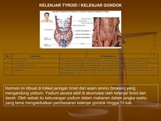 KELENJAR TYROID / KELENJAR GONDOK
No.No. HormonHormon PrinsipPrinsip kerjakerja
11 TiroksinTiroksin (T4)(T4) Mengatur metabolisme, pertumbuhan, perkembangan, dan kegiatan syMengatur metabolisme, pertumbuhan, perkembangan, dan kegiatan system sarafstem saraf
2.2. TriiodontironinTriiodontironin (T3)(T3) Mengatur metabolisme, pertumbuhan, perkembangan dan kegiatan sisMengatur metabolisme, pertumbuhan, perkembangan dan kegiatan sistem saraftem saraf
3.3. KalsitoninKalsitonin MenurunkanMenurunkan kadarkadar kalsiumkalsium dalamdalam darahdarah dengandengan caracara mempercepatmempercepat absorpsiabsorpsi kalsiumkalsium
oleholeh tulangtulang..
Hormon ini dibuat di folikel jaringan tiroid dari asam amino (tiroksin) yang
mengandung yodium. Yodium secara aktif di akumulasi oleh kelenjar tiroid dari
darah. Oleh sebab itu kekurangan yodium dalam makanan dalam jangka waktu
yang lama mengakibatkan pembesaran kelenjar gondok hingga 15 kali.
 