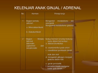 KELENJAR ANAK GINJAL / ADRENAL
No.No. HormonHormon PrinsipPrinsip kerjakerja
11 BagianBagian kortekskorteks
adrenal :adrenal :
a.a. MineralokortikoidMineralokortikoid
b.b. GlukokortikoidGlukokortikoid
MengontolMengontol metabolismemetabolisme ionion
anorganikanorganik
MengontrolMengontrol metabolismemetabolisme glukosaglukosa
22 BagianBagian MedulaMedula
AdrenalAdrenal
AdrenalinAdrenalin
((epinefrinepinefrin)) dandan
noradrenalinnoradrenalin
KeduaKedua hormonhormon tersebuttersebut bekerjabekerja
samasama dalamdalam halhal berikutberikut ::
a.a. dilatasidilatasi bronkiolusbronkiolus
b.b. vasokonstriksivasokonstriksi padapada arteriarteri
c.c. vasodilatasivasodilatasi pembuluhpembuluh darahdarah
otakotak dandan otototot
d.d. mengubahmengubah glikogenglikogen menjadimenjadi
glukosaglukosa dalamdalam hatihati
e.e. gerakgerak peristaltikperistaltik
f.f. bersamabersama insulininsulin mengaturmengatur
kadarkadar gulagula darahdarah
 