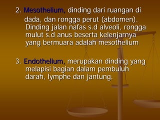 2.2. MesotheliumMesothelium,, dindingdinding daridari ruanganruangan didi
dada,dada, dandan ronggarongga perutperut (abdomen).(abdomen).
DindingDinding jalanjalan nafasnafas s.ds.d alveoli,alveoli, ronggarongga
mulutmulut s.ds.d anusanus besertabeserta kelenjarnyakelenjarnya
yangyang bermuarabermuara adalahadalah mesotheliummesothelium
3.3. Endothelium,Endothelium, merupakanmerupakan dindingdinding yangyang
melapisimelapisi bagianbagian dalamdalam pembuluhpembuluh
darahdarah,, lymphelymphe dandan jantungjantung..
 