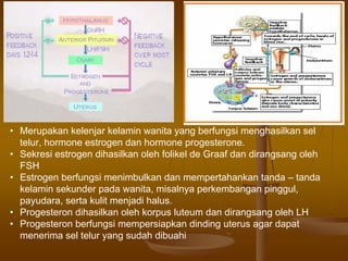 • Merupakan kelenjar kelamin wanita yang berfungsi menghasilkan sel
telur, hormone estrogen dan hormone progesterone.
• Sekresi estrogen dihasilkan oleh folikel de Graaf dan dirangsang oleh
FSH
• Estrogen berfungsi menimbulkan dan mempertahankan tanda – tanda
kelamin sekunder pada wanita, misalnya perkembangan pinggul,
payudara, serta kulit menjadi halus.
• Progesteron dihasilkan oleh korpus luteum dan dirangsang oleh LH
• Progesteron berfungsi mempersiapkan dinding uterus agar dapat
menerima sel telur yang sudah dibuahi
 
