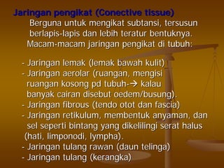 JaringanJaringan pengikatpengikat ((ConectiveConective tissue)tissue)
BergunaBerguna untukuntuk mengikatmengikat subtansisubtansi,, tersusuntersusun
berlapisberlapis--lapislapis dandan lebihlebih teraturteratur bentuknyabentuknya..
MacamMacam--macammacam jaringanjaringan pengikatpengikat didi tubuhtubuh::
-- JaringanJaringan lemaklemak ((lemaklemak bawahbawah kulitkulit))
-- JaringanJaringan aerolaraerolar ((ruanganruangan,, mengisimengisi
ruanganruangan kosongkosong pdpd tubuhtubuh-- kalaukalau
banyakbanyak cairancairan disebutdisebut oedem/busungoedem/busung).).
-- JaringanJaringan fibrous (fibrous (tendotendo otototot dandan fascia)fascia)
-- JaringanJaringan retikulumretikulum,, membentukmembentuk anyamananyaman,, dandan
selsel sepertiseperti bintangbintang yangyang dikelilingidikelilingi seratserat halushalus
((hatihati,, limponodilimponodi,, lymphalympha).).
-- JaringanJaringan tulangtulang rawanrawan ((daundaun telingatelinga))
-- JaringanJaringan tulangtulang ((kerangkakerangka))
 