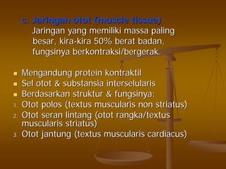 c.c. JaringanJaringan otototot (muscle tissue)(muscle tissue)
JaringanJaringan yangyang memilikimemiliki massamassa palingpaling
besarbesar,, kirakira--kirakira 50%50% beratberat badanbadan,,
fungsinyafungsinya berkontraksi/bergerakberkontraksi/bergerak..
MengandungMengandung proteinprotein kontraktilkontraktil
SelSel otototot && substansiasubstansia interselularisinterselularis
BerdasarkanBerdasarkan strukturstruktur && fungsinyafungsinya::
1.1. OtotOtot polospolos ((textustextus muscularismuscularis nonnon striatusstriatus))
2.2. OtotOtot seranseran lintanglintang ((otototot rangka/textusrangka/textus
muscularismuscularis striatusstriatus))
3.3. OtotOtot jantungjantung ((textustextus muscularismuscularis cardiacuscardiacus))
 