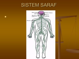 SISTEM SARAFSISTEM SARAF
 