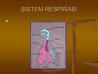 SISTEM RESPIRASISISTEM RESPIRASI
 