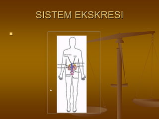 SISTEM EKSKRESISISTEM EKSKRESI
•
 