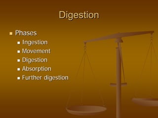 DigestionDigestion
PhasesPhases
IngestionIngestion
MovementMovement
DigestionDigestion
AbsorptionAbsorption
Further digestionFurther digestion
 