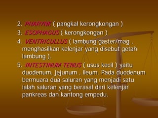 2.2. PHARYNKPHARYNK (( pangkalpangkal kerongkongankerongkongan ))
3.3. ESOPHAGUSESOPHAGUS (( kerongkongankerongkongan ))
4.4. VENTRICULLUSVENTRICULLUS (( lambunglambung gaster/maggaster/mag ,,
menghasilkanmenghasilkan kelenjarkelenjar yangyang disebutdisebut getahgetah
lambunglambung ).).
5.5. INTESTINUM TENUSINTESTINUM TENUS (( usususus kecilkecil )) yaituyaitu
duodenum, jejunum , ileum.duodenum, jejunum , ileum. PadaPada duodenumduodenum
bermuarabermuara duadua saluransaluran yangyang menjadimenjadi satusatu
ialahialah saluransaluran yangyang berasalberasal daridari kelenjarkelenjar
pankreaspankreas dandan kantongkantong empeduempedu..
 