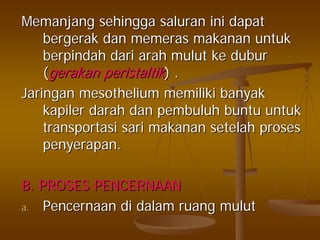 MemanjangMemanjang sehinggasehingga saluransaluran iniini dapatdapat
bergerakbergerak dandan memerasmemeras makananmakanan untukuntuk
berpindahberpindah daridari araharah mulutmulut keke duburdubur
((gerakangerakan peristaltikperistaltik) .) .
JaringanJaringan mesotheliummesothelium memilikimemiliki banyakbanyak
kapilerkapiler darahdarah dandan pembuluhpembuluh buntubuntu untukuntuk
transportasitransportasi sarisari makananmakanan setelahsetelah prosesproses
penyerapanpenyerapan..
B. PROSES PENCERNAANB. PROSES PENCERNAAN
a.a. PencernaanPencernaan didi dalamdalam ruangruang mulutmulut
 