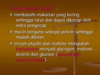 FungsiFungsi kelenjarkelenjar ludahludah ::
## menbasahimenbasahi makananmakanan yangyang keringkering
sehinggasehingga larutlarut dandan dapatdapat dikecapdikecap oleholeh
indraindra pengecappengecap..
## mucinmucin bergunaberguna sebagaisebagai pelicinpelicin sehinggasehingga
mudahmudah ditelanditelan..
## enzymenzym ptyalinptyalin dandan maltasemaltase mengubahmengubah
karbohidratkarbohidrat menjadimenjadi glycogen, maltose,glycogen, maltose,
dextrindextrin dandan glucose (glucose (pencernaanpencernaan
secarasecara kimiawikimiawi).).
 