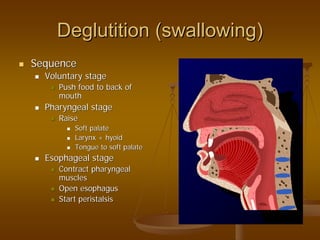 Deglutition (swallowing)Deglutition (swallowing)
SequenceSequence
Voluntary stageVoluntary stage
Push food to back ofPush food to back of
mouthmouth
Pharyngeal stagePharyngeal stage
RaiseRaise
Soft palateSoft palate
Larynx + hyoidLarynx + hyoid
Tongue to soft palateTongue to soft palate
Esophageal stageEsophageal stage
Contract pharyngealContract pharyngeal
musclesmuscles
Open esophagusOpen esophagus
Start peristalsisStart peristalsis
 
