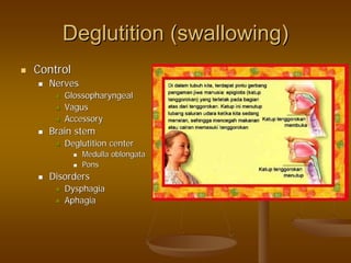 Deglutition (swallowing)Deglutition (swallowing)
ControlControl
NervesNerves
GlossopharyngealGlossopharyngeal
VagusVagus
AccessoryAccessory
Brain stemBrain stem
Deglutition centerDeglutition center
Medulla oblongataMedulla oblongata
PonsPons
DisordersDisorders
DysphagiaDysphagia
AphagiaAphagia
 