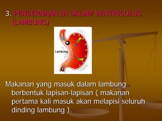 3.3. PENCERNAAN DI DALAM VENTRICULUSPENCERNAAN DI DALAM VENTRICULUS
(LAMBUNG)(LAMBUNG)
MakananMakanan yangyang masukmasuk dalamdalam lambunglambung
berbentukberbentuk lapisanlapisan--lapisanlapisan (( makananmakanan
pertamapertama kalikali masukmasuk akanakan melapisimelapisi seluruhseluruh
dindingdinding lambunglambung ).).
 
