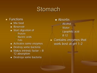 StomachStomach
FunctionsFunctions
Mix foodMix food
ReservoirReservoir
Start digestion ofStart digestion of
ProteinProtein
Nucleic acidsNucleic acids
FatsFats
Activates some enzymesActivates some enzymes
Destroy some bacteriaDestroy some bacteria
Makes intrinsic factorMakes intrinsic factor –– BB
12 absorption12 absorption
Destroys some bacteriaDestroys some bacteria
AbsorbsAbsorbs
AlcoholAlcohol
WaterWater
LipophilicLipophilic acidacid
B 12B 12
Contains enzymes thatContains enzymes that
work best at pH 1work best at pH 1--22
 