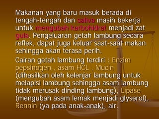 MakananMakanan yangyang barubaru masukmasuk beradaberada didi
tengahtengah--tengahtengah dandan salivasaliva masihmasih bekerjabekerja
untukuntuk mengubahmengubah karbohidratkarbohidrat menjadimenjadi zatzat
gulagula.. PengeluaranPengeluaran getahgetah lambunglambung secarasecara
reflekreflek,, dapatdapat jugajuga keluarkeluar saatsaat--saatsaat makanmakan
sehinggasehingga akanakan terasaterasa perihperih..
CairanCairan getahgetah lambunglambung terdiriterdiri :: EnzimEnzim
pepsinogenpepsinogen ,, asamasam HCL ,HCL , MucinMucin
((dihasilkandihasilkan oleholeh kelenjarkelenjar lambunglambung untukuntuk
melapisimelapisi lambunglambung sehinggasehingga asamasam lambunglambung
tidaktidak merusakmerusak dindingdinding lambunglambung),), LipaseLipase
((mengubahmengubah asamasam lemaklemak menjadimenjadi glyserolglyserol),),
RenninRennin ((yaya padapada anakanak--anakanak), air.), air.
 