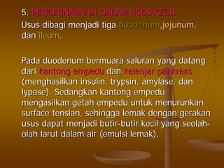 5.5. PENCERNAAN DI DALAM USUS KECILPENCERNAAN DI DALAM USUS KECIL
UsusUsus dibagidibagi menjadimenjadi tigatiga duodenumduodenum,,jejunumjejunum,,
dandan ileumileum..
PadaPada duodenumduodenum bermuarabermuara saluransaluran yangyang datangdatang
daridari kantongkantong empeduempedu dandan kelenjarkelenjar pankreaspankreas
((menghasilkanmenghasilkan insulin,insulin, trypsintrypsin, amylase,, amylase, dandan
lypaselypase).). SedangkanSedangkan kantongkantong empeduempedu
mengasilkanmengasilkan getahgetah empeduempedu untukuntuk menurunkanmenurunkan
surfacesurface tensiantensian,, sehinggasehingga lemaklemak dengandengan gerakangerakan
usususus dapatdapat menjadimenjadi butirbutir--butirbutir kecilkecil yangyang seolahseolah--
olaholah larutlarut dalamdalam air (air (emulsiemulsi lemaklemak).).
 