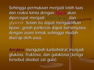 SehinggaSehingga permukaanpermukaan menjadimenjadi lebihlebih luasluas
dandan reaksireaksi kimiakimia dengandengan lipaselipase akanakan
dipercepatdipercepat menjadimenjadi asamasam lemaklemak dandan
glyserolglyserol.. SelainSelain ituitu dapatdapat mengaktifkanmengaktifkan
lipase,lipase, getahgetah pankreaspankreas dapatdapat bersenyawabersenyawa
dengandengan asamasam lemaklemak sehinggasehingga mudahmudah
diserapdiserap oleholeh usususus..
AmylaseAmylase mengubahmengubah karbohidratkarbohidrat menjadimenjadi
glukosaglukosa,, fruktosafruktosa,, dandan galaktosagalaktosa ((ketigaketiga
tersebuttersebut disebutdisebut zatzat gulagula).).
 
