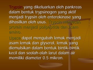 TrypsinTrypsin yangyang dikeluarkandikeluarkan oleholeh pankreaspankreas
dalamdalam bentukbentuk trypsinogentrypsinogen yangyang aktifaktif
menjadimenjadi trypsintrypsin oleholeh enterokinaseenterokinase yangyang
dihasilkandihasilkan oleholeh usususus.. TrypsinTrypsin memecahmemecah
proteinprotein menjadimenjadi polipeptidapolipeptida dandan asamasam
amino.amino.
LipaseLipase dapatdapat mengubahmengubah lemaklemak menjadimenjadi
asamasam lemaklemak dandan glyserolglyserol,, lemaklemak yangyang
diemulsikandiemulsikan dalamdalam bentukbentuk bintikbintik--bintikbintik
kecilkecil dandan seolahseolah--olaholah larutlarut dalamdalam airair
memilikimemiliki diameter 0.5diameter 0.5 mikronmikron..
 