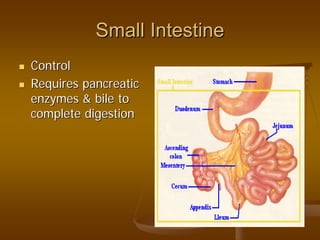 Small IntestineSmall Intestine
ControlControl
Requires pancreaticRequires pancreatic
enzymes & bile toenzymes & bile to
complete digestioncomplete digestion
 