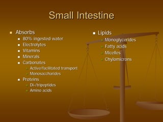 Small IntestineSmall Intestine
AbsorbsAbsorbs
80% ingested water80% ingested water
ElectrolytesElectrolytes
VitaminsVitamins
MineralsMinerals
CarbonatesCarbonates
Active/facilitated transportActive/facilitated transport
MonosaccharidesMonosaccharides
ProteinsProteins
DiDi--/tripeptides/tripeptides
Amino acidsAmino acids
LipidsLipids
MonoglyceridesMonoglycerides
Fatty acidsFatty acids
MicellesMicelles
ChylomicronsChylomicrons
 