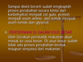 SampaiSampai disinidisini berartiberarti sudahsudah lengkaplahlengkaplah
prosesproses perubahanperubahan secarasecara kimiakimia daridari
karbohydratkarbohydrat menjadimenjadi zatzat gulagula, protein, protein
menjadimenjadi asamasam amino,amino, dandan lemaklemak menjadimenjadi
asamasam lemaklemak dandan glyserolglyserol..
6.6. PENCERNAAN DI DALAM USUS BESARPENCERNAAN DI DALAM USUS BESAR
OlehOleh GerakanGerakan peristaltikperistaltik makananmakanan akanakan
masukmasuk keke usususus besarbesar.. DiDi usususus besarbesar sudahsudah
tidaktidak adaada prosesproses perubahanperubahan bentukbentuk
maupunmaupun senyawasenyawa daridari makananmakanan..
 