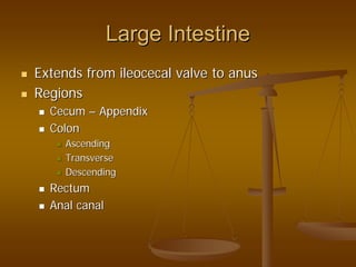 Large IntestineLarge Intestine
Extends fromExtends from ileocecalileocecal valve to anusvalve to anus
RegionsRegions
CecumCecum –– AppendixAppendix
ColonColon
AscendingAscending
TransverseTransverse
DescendingDescending
RectumRectum
Anal canalAnal canal
 