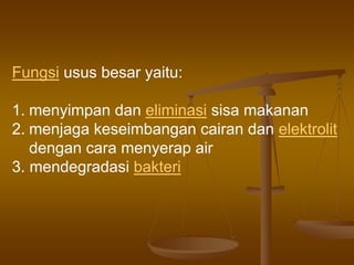 Fungsi usus besar yaitu:
1. menyimpan dan eliminasi sisa makanan
2. menjaga keseimbangan cairan dan elektrolit
dengan cara menyerap air
3. mendegradasi bakteri
 