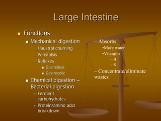 Large IntestineLarge Intestine
FunctionsFunctions
Mechanical digestionMechanical digestion
HaustralHaustral churningchurning
PeristalsisPeristalsis
ReflexesReflexes
GastroilealGastroileal
GastrocolicGastrocolic
Chemical digestionChemical digestion ––
Bacterial digestionBacterial digestion
FermentFerment
carbohydratescarbohydrates
Protein/amino acidProtein/amino acid
breakdownbreakdown
– Absorbs
•More water
•Vitamins
– B
– K
– Concentrate/eliminate
wastes
 