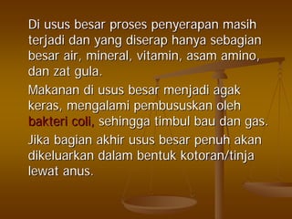 DiDi usususus besarbesar prosesproses penyerapanpenyerapan masihmasih
terjaditerjadi dandan yangyang diserapdiserap hanyahanya sebagiansebagian
besarbesar air, mineral, vitamin,air, mineral, vitamin, asamasam amino,amino,
dandan zatzat gulagula..
MakananMakanan didi usususus besarbesar menjadimenjadi agakagak
keraskeras,, mengalamimengalami pembususkanpembususkan oleholeh
bakteribakteri coli,coli, sehinggasehingga timbultimbul baubau dandan gas.gas.
JikaJika bagianbagian akhirakhir usususus besarbesar penuhpenuh akanakan
dikeluarkandikeluarkan dalamdalam bentukbentuk kotoran/tinjakotoran/tinja
lewatlewat anus.anus.
 