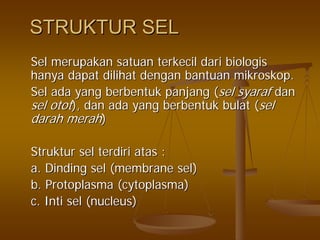 STRUKTUR SELSTRUKTUR SEL
SelSel merupakanmerupakan satuansatuan terkecilterkecil daridari biologisbiologis
hanyahanya dapatdapat dilihatdilihat dengandengan bantuanbantuan mikroskopmikroskop..
SelSel adaada yangyang berbentukberbentuk panjangpanjang ((selsel syarafsyaraf dandan
selsel otototot),), dandan adaada yangyang berbentukberbentuk bulatbulat ((selsel
darahdarah merahmerah))
StrukturStruktur selsel terdiriterdiri atasatas ::
a.a. DindingDinding selsel (membrane(membrane selsel))
b.b. ProtoplasmaProtoplasma ((cytoplasmacytoplasma))
c.c. IntiInti selsel (nucleus)(nucleus)
 