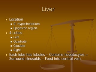 LiverLiver
LocationLocation
R.R. HypochondriumHypochondrium
EpigastricEpigastric regionregion
4 Lobes4 Lobes
LeftLeft
QuadrateQuadrate
CaudateCaudate
RightRight
Each lobe has lobulesEach lobe has lobules –– ContainsContains hepatocyteshepatocytes ––
Surround sinusoidsSurround sinusoids –– Feed into central veinFeed into central vein
 
