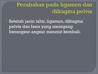  Setelah janin lahir, ligamen, difragma 
pelvis dan fasia yang meregang 
berangsur-angsur menciut kembali. 
 