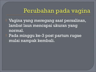  Vagina yang meregang saat persalinan, 
lambat laun mencapai ukuran yang 
normal. 
 Pada minggu ke-3 post partum rugae 
mulai nampak kembali. 
 