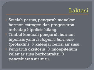  Setelah partus, pengaruh menekan 
hormon estrogen dan progesteron 
terhadap hipofisis hilang. 
 Timbul kembali pengaruh hormon 
hipofisis yaitu lactogenic hormone 
(prolaktin)  kelenjar berisi air susu. 
 Pengaruh oksitosin  mioepitelium 
kelenjar susu berkontraksi  
pengeluaran air susu. 
 