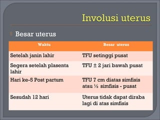 Waktu Besar uterus 
Setelah janin lahir TFU setinggi pusat 
Segera setelah plasenta 
lahir 
TFU ± 2 jari bawah pusat 
Hari ke-5 Post partum TFU 7 cm diatas simfisis 
atau ½ simfisis - pusat 
Sesudah 12 hari Uterus tidak dapat diraba 
lagi di atas simfisis 
 Besar uterus 
 