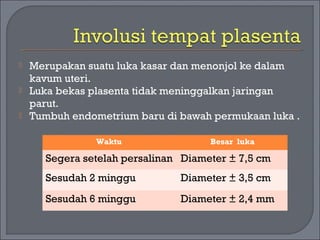  Merupakan suatu luka kasar dan menonjol ke dalam 
kavum uteri. 
 Luka bekas plasenta tidak meninggalkan jaringan 
parut. 
 Tumbuh endometrium baru di bawah permukaan luka . 
Waktu Besar luka 
Segera setelah persalinan Diameter ± 7,5 cm 
Sesudah 2 minggu Diameter ± 3,5 cm 
Sesudah 6 minggu Diameter ± 2,4 mm 
 