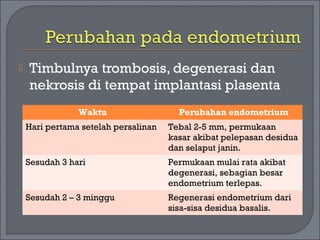 Timbulnya trombosis, degenerasi dan 
nekrosis di tempat implantasi plasenta 
Waktu Perubahan endometrium 
Hari pertama setelah persalinan Tebal 2-5 mm, permukaan 
kasar akibat pelepasan desidua 
dan selaput janin. 
Sesudah 3 hari Permukaan mulai rata akibat 
degenerasi, sebagian besar 
endometrium terlepas. 
Sesudah 2 – 3 minggu Regenerasi endometrium dari 
sisa-sisa desidua basalis. 
 