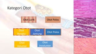 fisiologi otot fix.pptx
