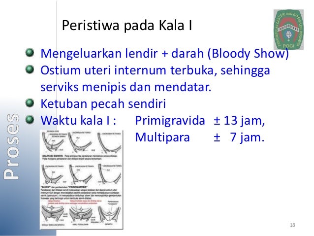 Fisiologi Persalinan Dan Nifas Normal